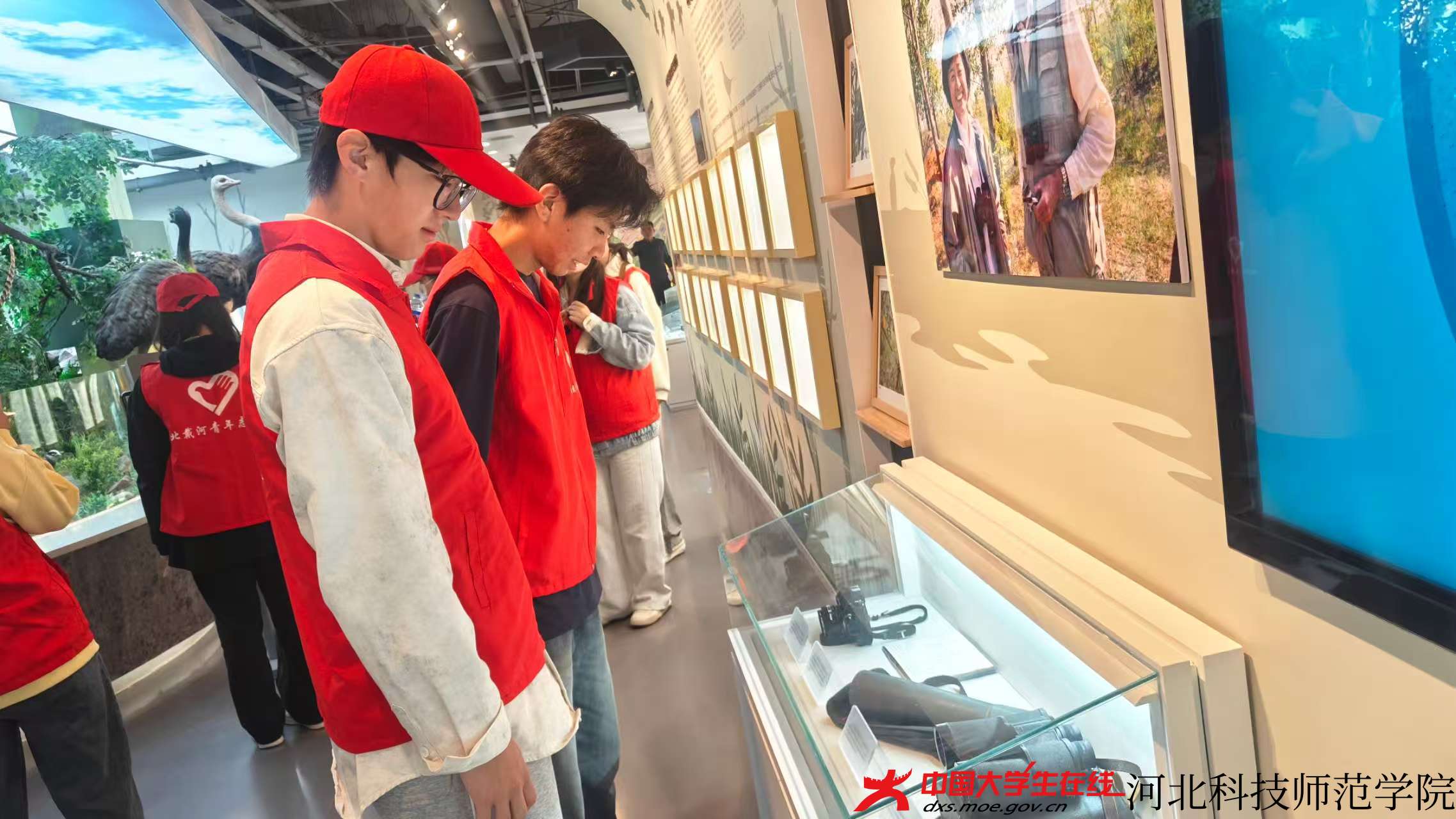 图为志愿者参观鸟类博物馆(王浡宇 摄) (2).jpg 图为志愿者参观鸟类博物馆(王浡宇 摄) (2).jpg